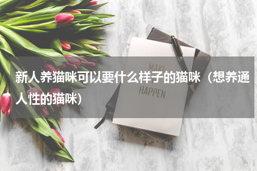 新人养猫咪可以要什么样子的猫咪（想养通人性的猫咪）