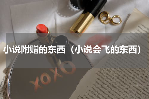 小说附赠的东西（小说会飞的东西）
