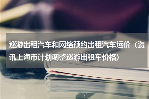 巡游出租汽车和网络预约出租汽车运价（资讯上海市计划调整巡游出租车价格）