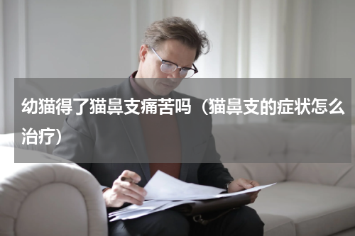 幼猫得了猫鼻支痛苦吗（猫鼻支的症状怎么治疗）