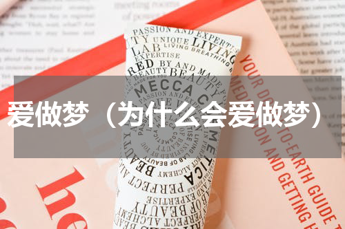 爱做梦（为什么会爱做梦）