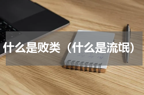 什么是败类（什么是流氓）