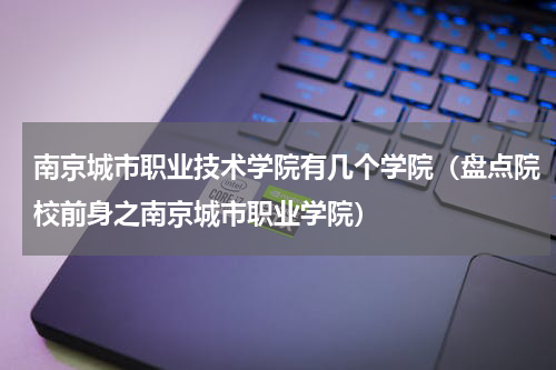 南京城市职业技术学院有几个学院（盘点院校前身之南京城市职业学院）