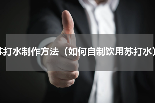 苏打水制作方法（如何自制饮用苏打水）
