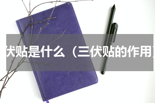 三伏贴是什么（三伏贴的作用）