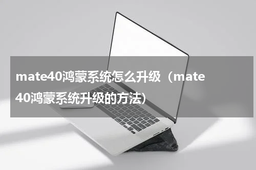mate40鸿蒙系统怎么升级（mate40鸿蒙系统升级的方法）
