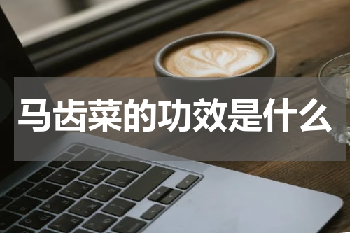 马齿菜的功效是什么