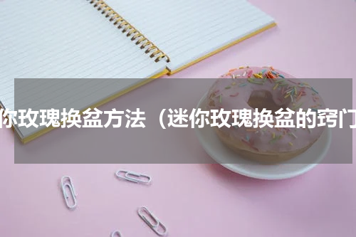 迷你玫瑰换盆方法（迷你玫瑰换盆的窍门）