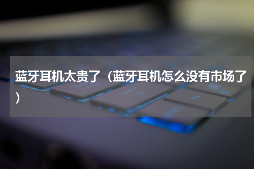 蓝牙耳机太贵了（蓝牙耳机怎么没有市场了）