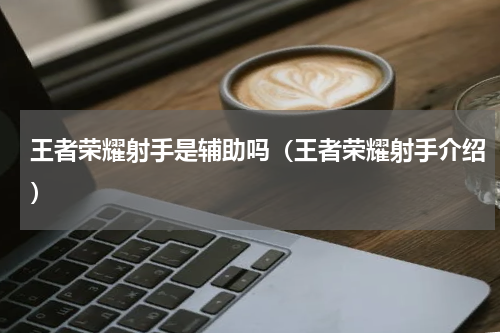 王者荣耀射手是辅助吗（王者荣耀射手介绍）