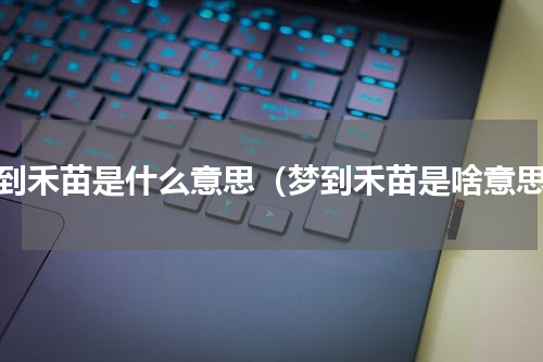 梦到禾苗是什么意思（梦到禾苗是啥意思）