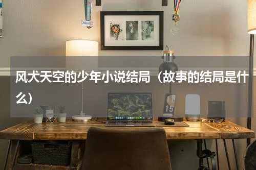 风犬天空的少年小说结局（故事的结局是什么）