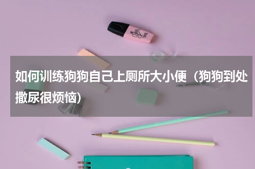 如何训练狗狗自己上厕所大小便（狗狗到处撒尿很烦恼）