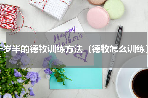 一岁半的德牧训练方法（德牧怎么训练）