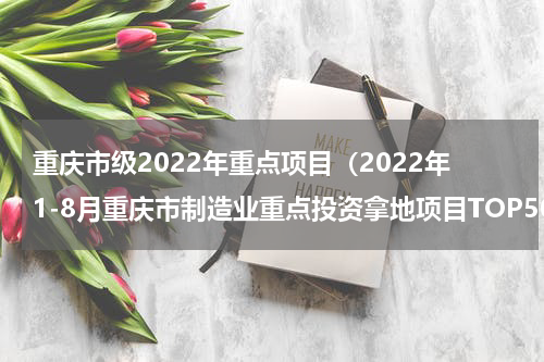 重庆市级2022年重点项目（2022年1-8月重庆市制造业重点投资拿地项目TOP50）