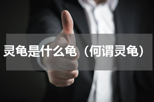 灵龟是什么龟（何谓灵龟）