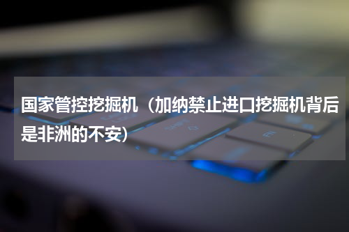 国家管控挖掘机（加纳禁止进口挖掘机背后是非洲的不安）