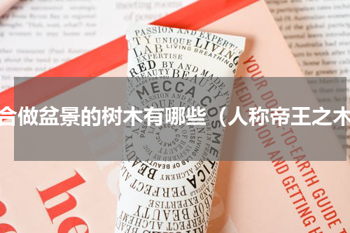 适合做盆景的树木有哪些（人称帝王之木）