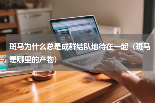 斑马为什么总是成群结队地待在一起（斑马是哪里的产物）
