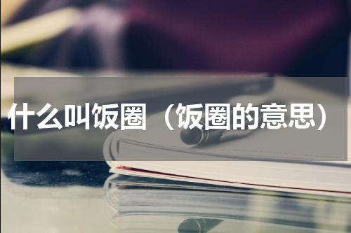 什么叫饭圈（饭圈的意思）