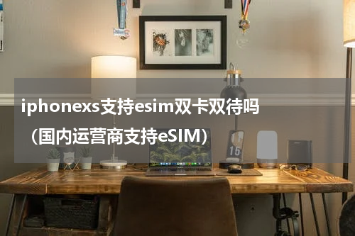 iphonexs支持esim双卡双待吗（国内运营商支持eSIM）