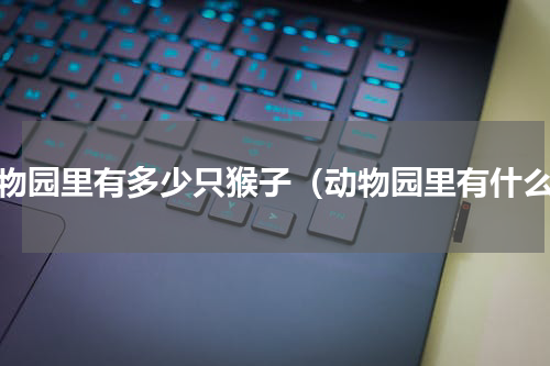 动物园里有多少只猴子（动物园里有什么）