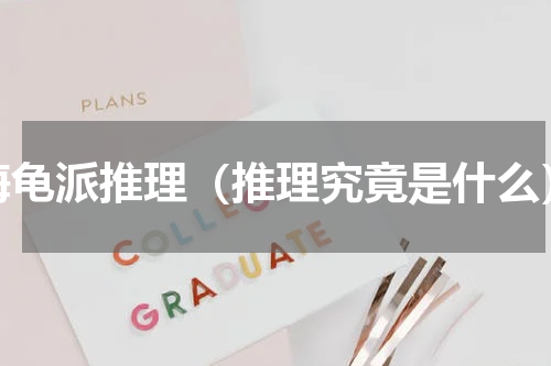 海龟派推理（推理究竟是什么）