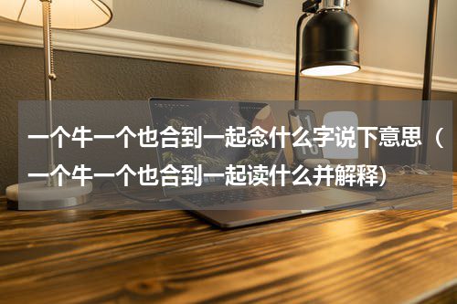 一个牛一个也合到一起念什么字说下意思（一个牛一个也合到一起读什么并解释）