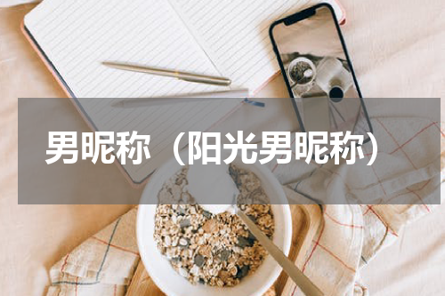 男昵称（阳光男昵称）