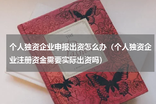 个人独资企业申报出资怎么办（个人独资企业注册资金需要实际出资吗）
