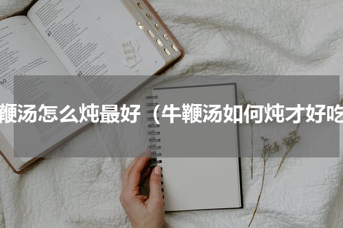 牛鞭汤怎么炖最好（牛鞭汤如何炖才好吃）