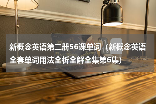 新概念英语第二册56课单词（新概念英语全套单词用法全析全解全集第6集）