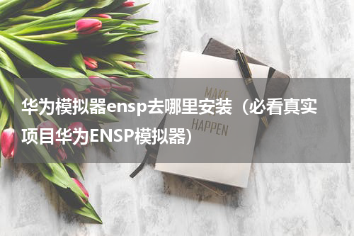 华为模拟器ensp去哪里安装（必看真实项目华为ENSP模拟器）