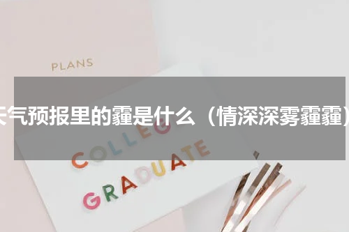 天气预报里的霾是什么（情深深雾霾霾）