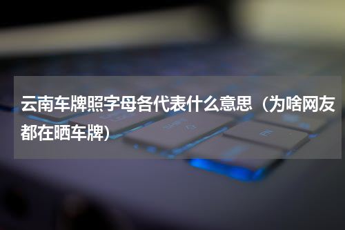 云南车牌照字母各代表什么意思（为啥网友都在晒车牌）
