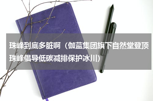珠峰到底多脏啊（伽蓝集团旗下自然堂登顶珠峰倡导低碳减排保护冰川）
