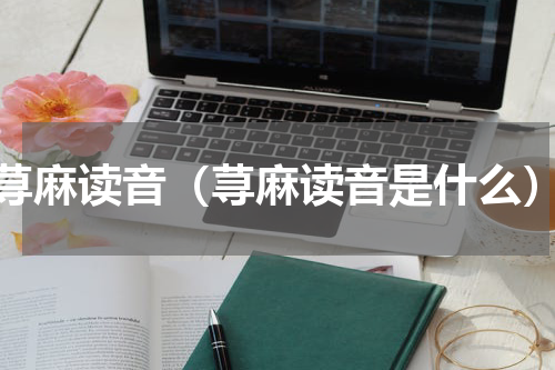 荨麻读音（荨麻读音是什么）