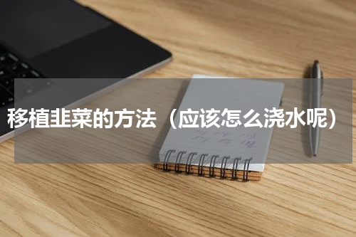 移植韭菜的方法（应该怎么浇水呢）