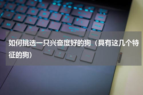 如何挑选一只兴奋度好的狗（具有这几个特征的狗）