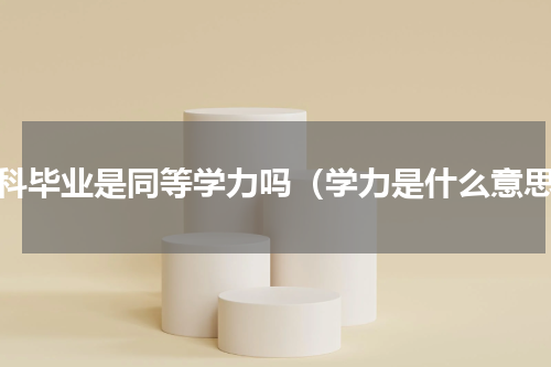 本科毕业是同等学力吗（学力是什么意思）
