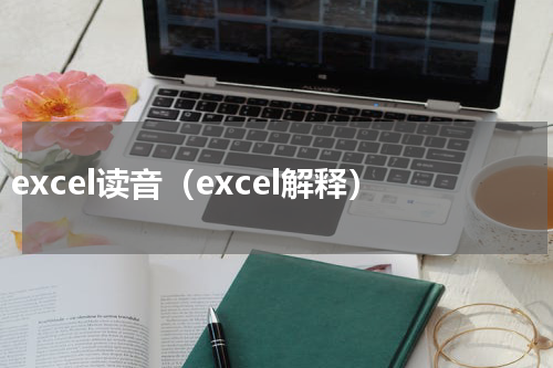 excel读音（excel解释）