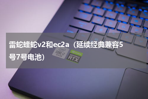 雷蛇蝰蛇v2和ec2a（延续经典兼容5号7号电池）