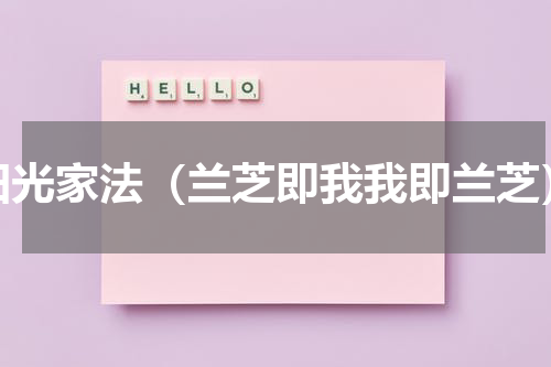 阳光家法（兰芝即我我即兰芝）