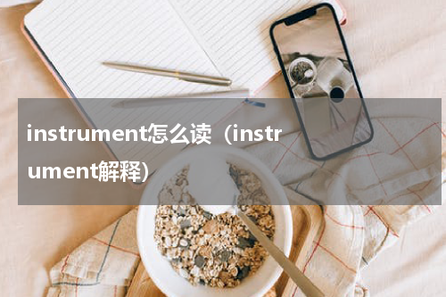 instrument怎么读（instrument解释）