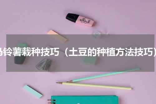 马铃薯栽种技巧（土豆的种植方法技巧）