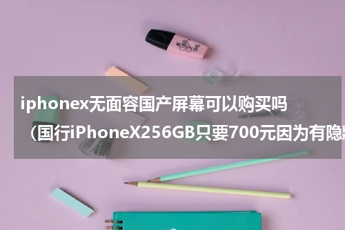 iphonex无面容国产屏幕可以购买吗（国行iPhoneX256GB只要700元因为有隐藏ID）