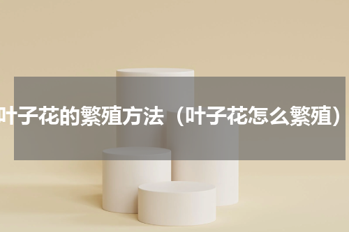 叶子花的繁殖方法（叶子花怎么繁殖）