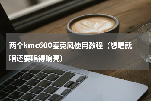 两个kmc600麦克风使用教程（想唱就唱还要唱得响亮）