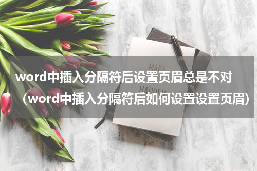 word中插入分隔符后设置页眉总是不对（word中插入分隔符后如何设置设置页眉）