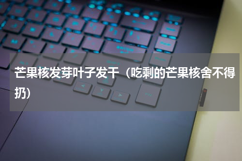 芒果核发芽叶子发干（吃剩的芒果核舍不得扔）